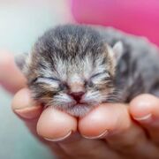 senior English period 3