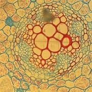 Biology