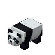 204b