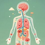 Anatomy Spot Exam
