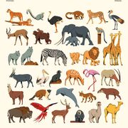 BIOL323Z Animal Behaviour