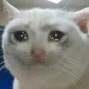 PMP Exam