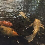 OPERATIONS MANAGEMENT