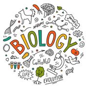 10 H Bio