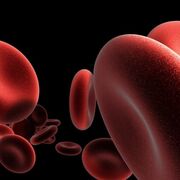 Hematologie