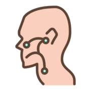 Otorrinolaringología