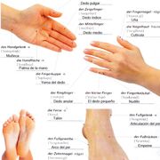 Gloria Pfleger/Medizin