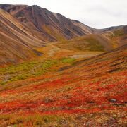 11 GEO Mod 1 - Earth's Natural Systems