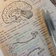 Biology (Semester 1)