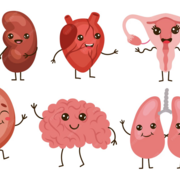 z_Physiology & Pathophysiology