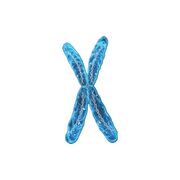 Bio molecular