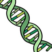 Biology