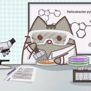 Science Task 3 Validation