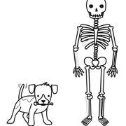 TRAUMA & ORTOPEDIA