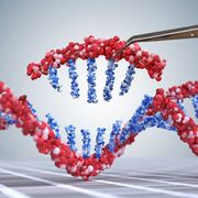 Medicina Legal - Genética Forense