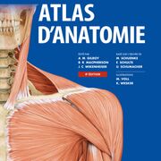 Anatomie Fonctionnel: Quadrant Superieur