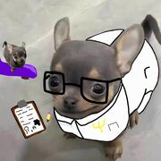 Bases biológicas de la enfermedad 1