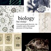 biology