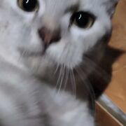 Kotoba Dan Kanji N3 Part 1