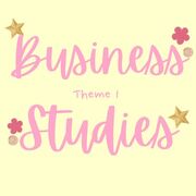 Business Studies - THEME 1