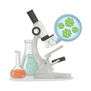 IMM250: The Immune System and Infectious Disease