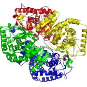 Laboratoire biochimie des protéines