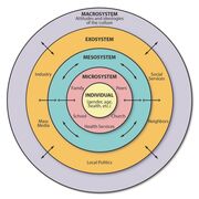 DEVELOPMENTAL PSYCHOLOGY