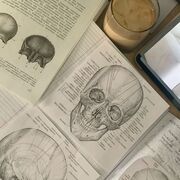 ANATOMY AND PHYSIOLOGY (Nursing)