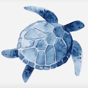 Year 11 BIOLOGY 😎