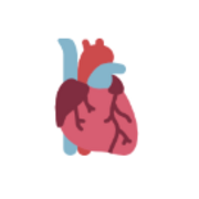 Cardiovascular system