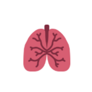 Respiratory