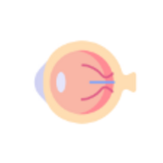 Ophthalmology