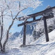 JAPONES