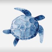 Year 11 HISTORY - Germany