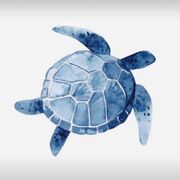 Year 11 RELIGIOUS STUDIES