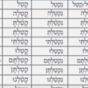 Hebrew Miscellaneous