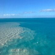 international studies