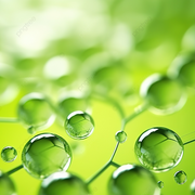 BIOTECHNOLOGY AND ITS APPLICATIONS