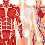 biomedische wetenschappen 1A