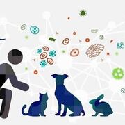 ZOONOTIC DISEASE