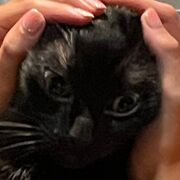 Sport In The Ancient Roman World