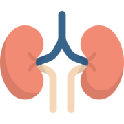 Fisiopatología del sistema renal