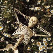 Intro To Health Science