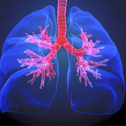 MMD 1108 - Pneumologie