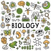 BIO 122