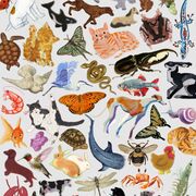 Dynamique des populations animales