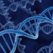 AQA Biology A-Level