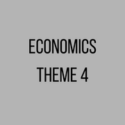 Economics Theme 4