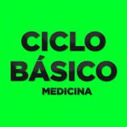 Ciclo-basico-n1