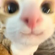 6th Grade Social Studies Period 3